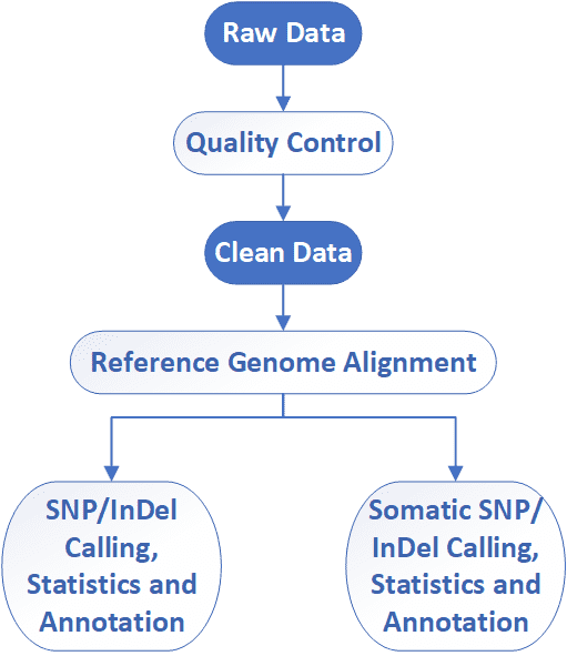 The Data Analysis Pipeline of Targeted Region Sequencing.